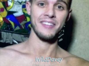 WildDavey