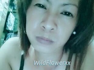 WildFlowerxx