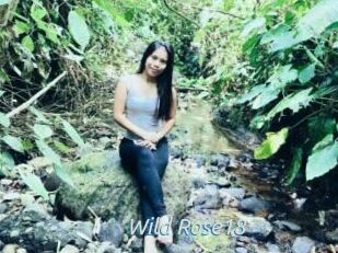 Wild_Rose18