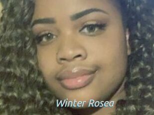 Winter_Rosea