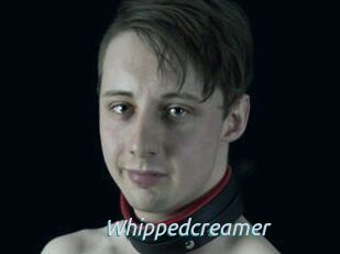 Whippedcreamer