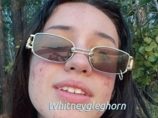 Whitneygleghorn