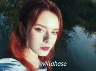 Willahase