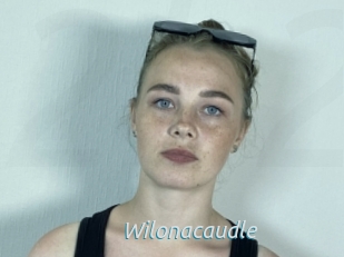 Wilonacaudle