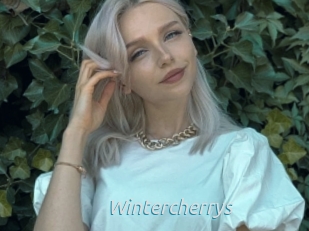 Wintercherrys