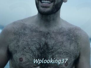 Wplooking37