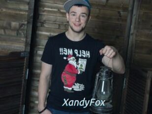 XandyFox