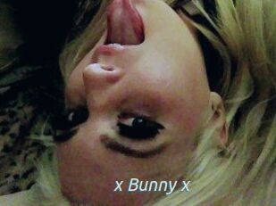 _x_Bunny_x_