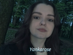 Yankarose