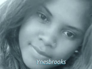 Ynesbrooks